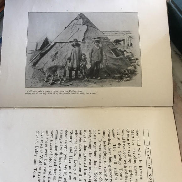 Baldy of Nome, 1913 children’s book, fine 1st ed - Picture 3 of 5